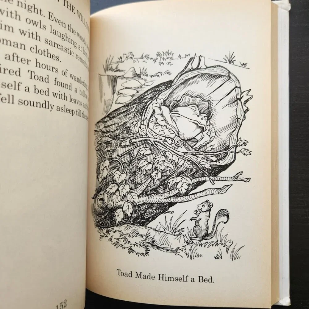 The Wind in the Willows 1996 Vintage Book Hardcover by Kenneth Graham  Print len